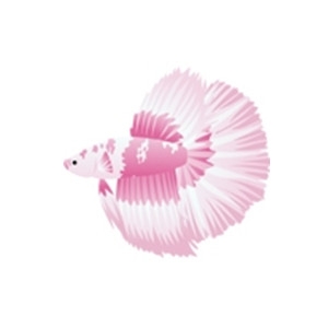 Pink Marble Betta